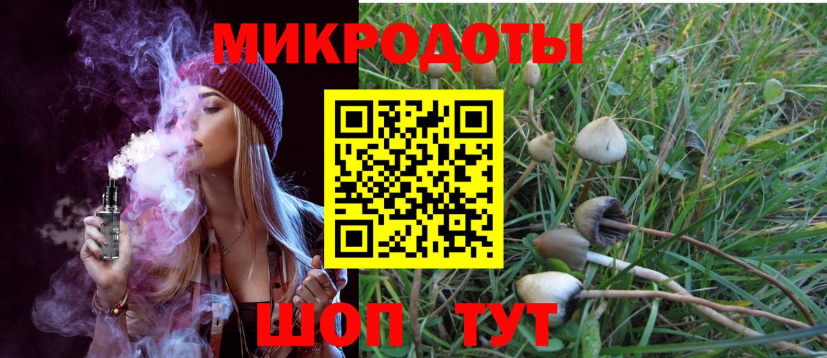 Галлюциногенные грибы мухоморы  наркошоп  Вход с VPN  Александров  Галлюциногенные грибы Psilocybine cubensis 