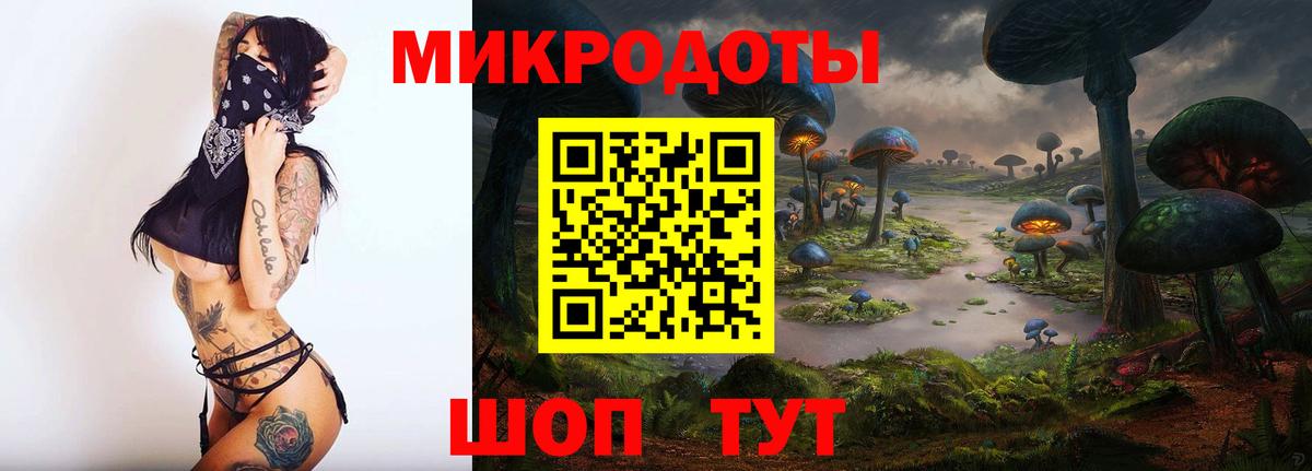 Псилоцибиновые грибы Psilocybe Александров
